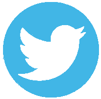 Twitter Icon